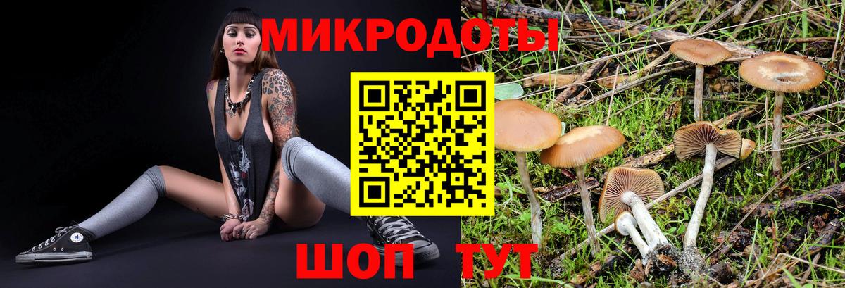 Буйнакск  Псилоцибиновые грибы ЛСД  Вход с VPN  как найти   Галлюциногенные грибы мухоморы 